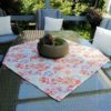 Gartendecke Holunderbeere