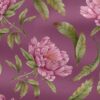 Rosa mit violettem Hintergrund